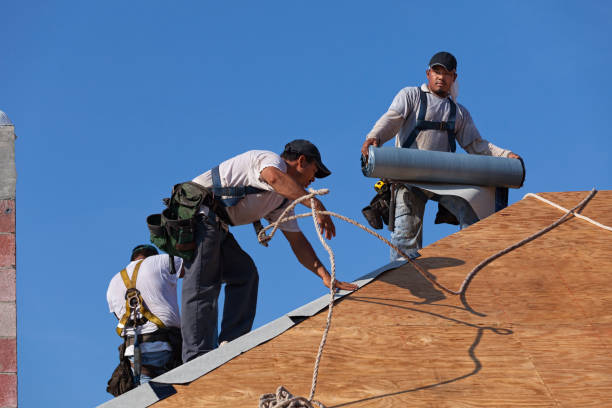 Best Metal Roofing Contractor  in Oswego, NY
